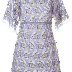 http://www.farfetch.com/uk/shopping/women/Giamba-embroidered-sheer-floral-dress-item-11347559.aspx?src=linkshare